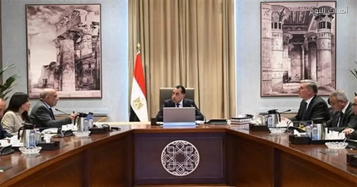 إعادة هيكلة 59 هيئة اقتصادية وفق السردية الوطنية