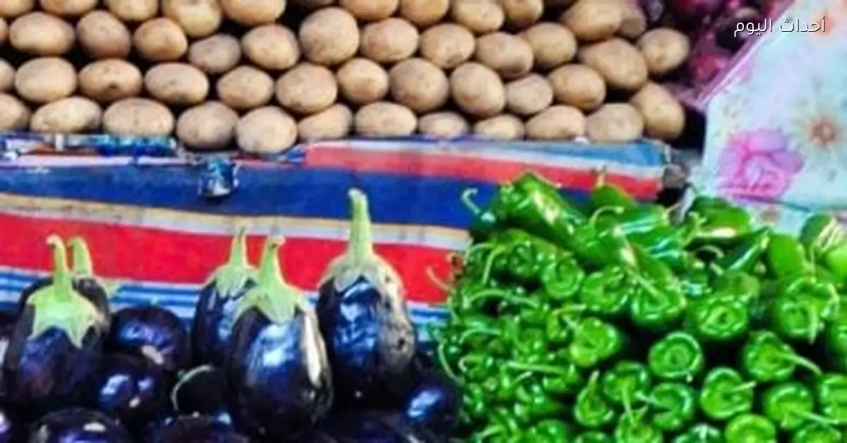 استقرار أسعار الفاكهة الشتوية في أسواق الأقصر اليوم السبت 10 يناير