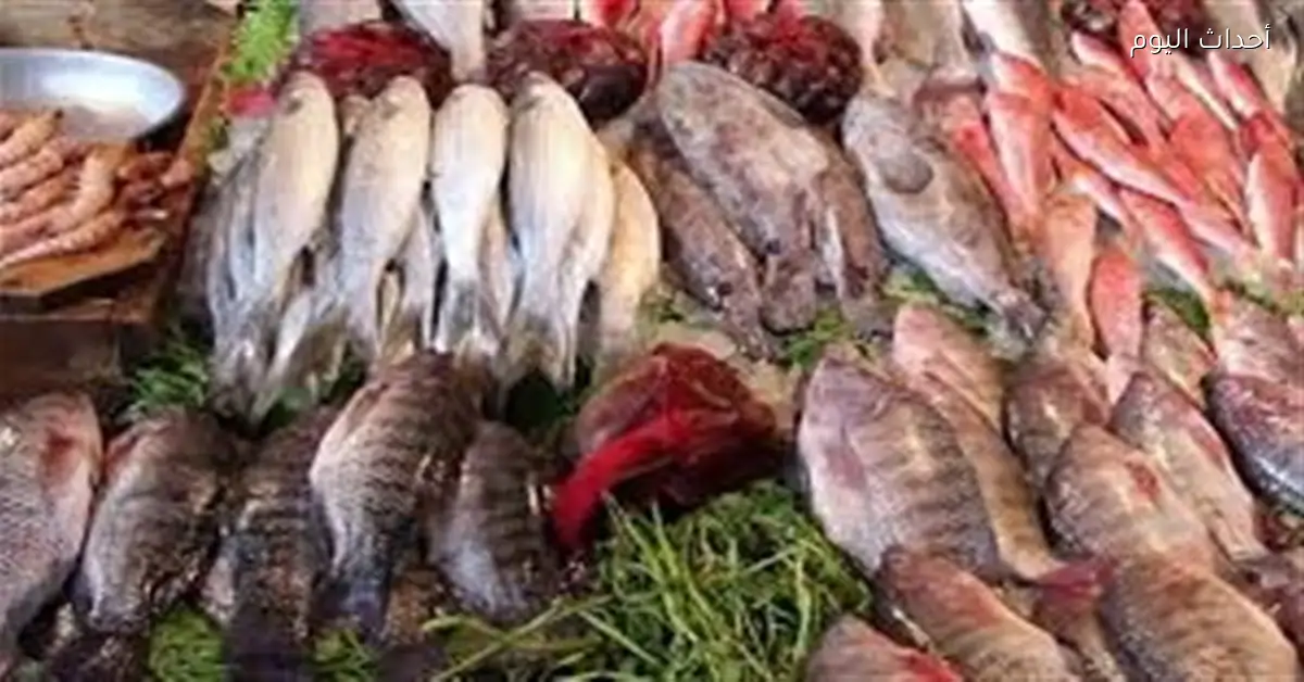 استقرار نسبي لأسعار الأسماك وتباين الأصناف في الأسواق