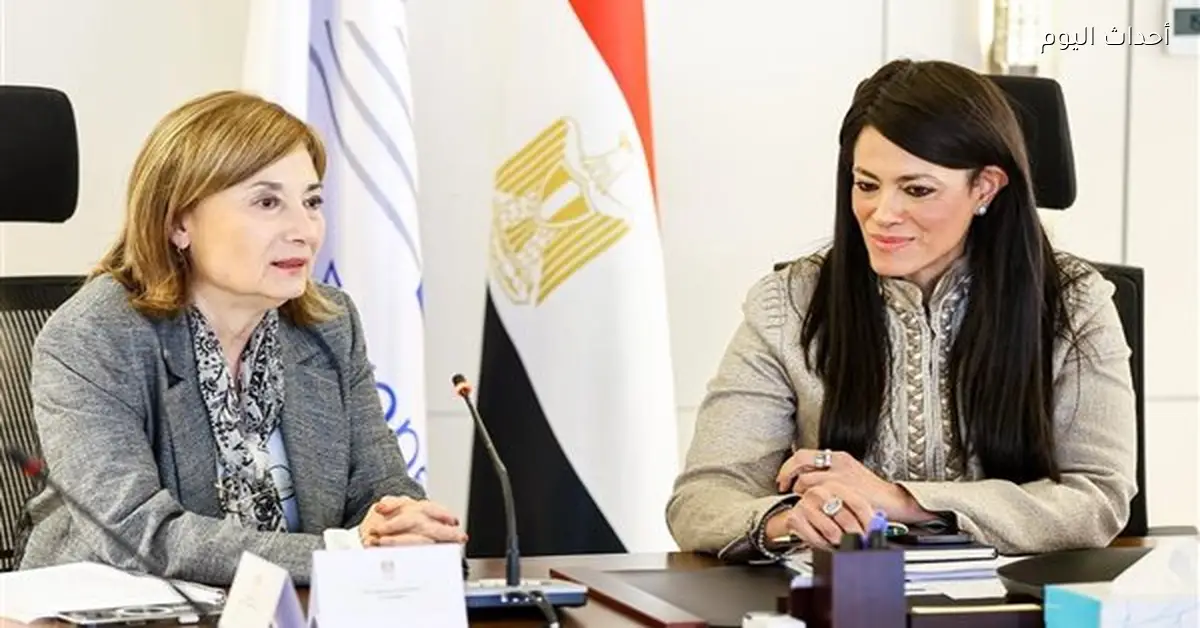 المشاط: 3.1 مليار يورو ائتمان للبنوك المصرية من أوروبا