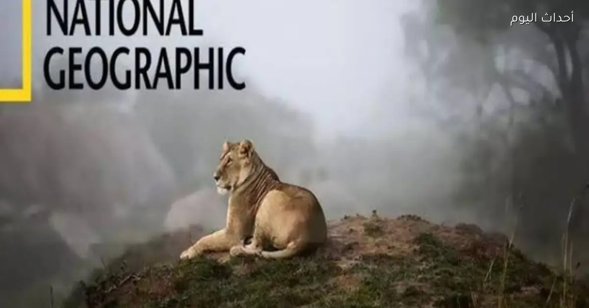 تردد ناشيونال جيوجرافيك أبوظبي 2026.. اضبطه واستمتع بعالم الطبيعة والاكتشافات الممتعة