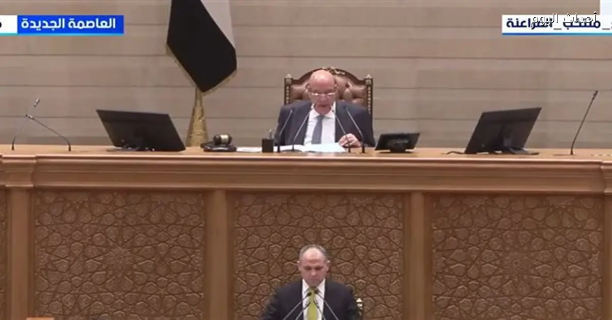 تشكيل هيئات مكاتب اللجان الـ25 في مجلس النواب