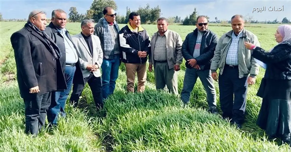 تفقد حالة المحاصيل الشتوية في الغربية لدعم المزارعين