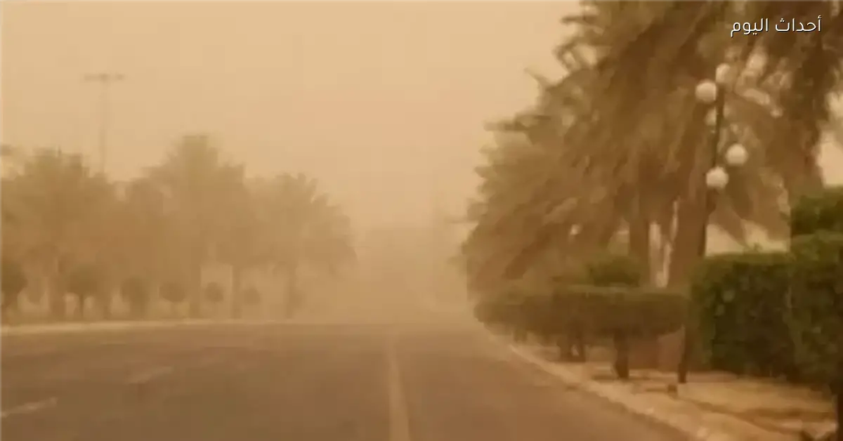 حالة الطقس اليوم الخميس 8 يناير 2026 وتأثير الظاهرة الجوية