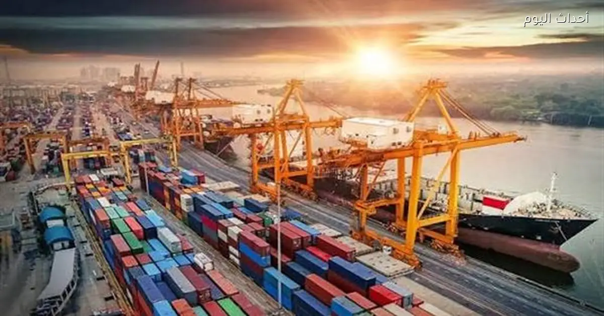 حصيلة بيع جمارك مطار القاهرة والإسكندرية ومطروح 48.5 مليون جنيه