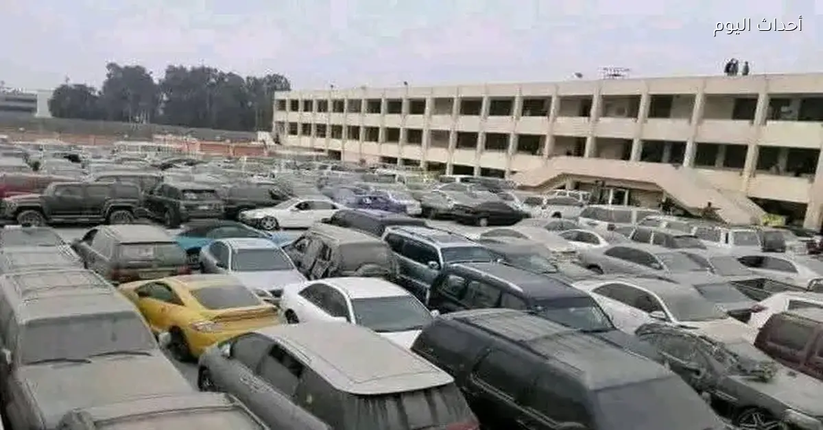 حصيلة مزاد بضائع جمارك مطار القاهرة والإسكندرية ومطروح تصل إلى 48.5 مليون جنيه