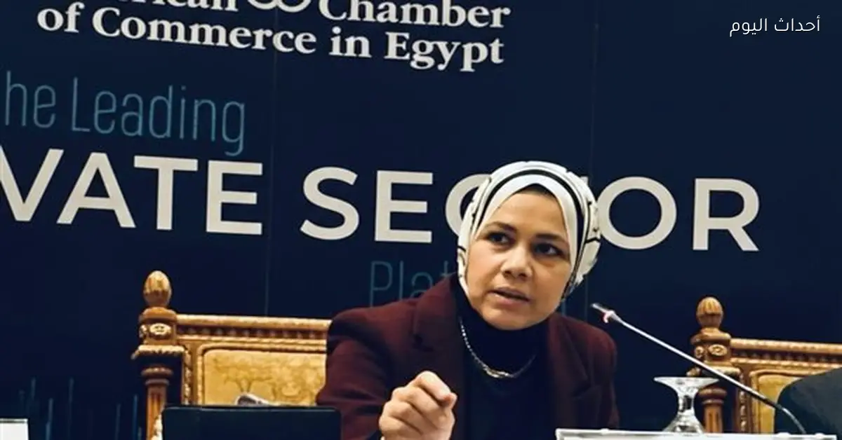 رئيس مصلحة الضرائب المصرية يتحدث في مؤتمر غرفة التجارة الأمريكية