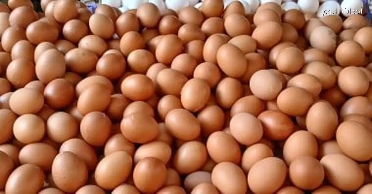 سعر طبق البيض في القليوبية يبلغ 126 جنيها الأحد 4 يناير 2026