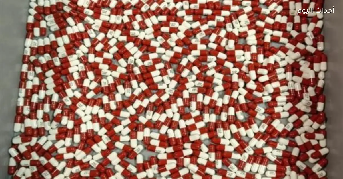 ضبط 139 قضية مخدرات في مطار القاهرة خلال 2025