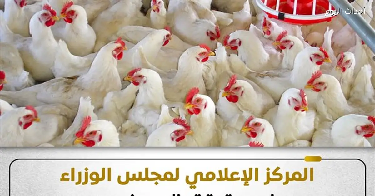 مجلس الوزراء ي clarifies حقيقة ظهور إنفلونزا الطيور في المزارع المصرية