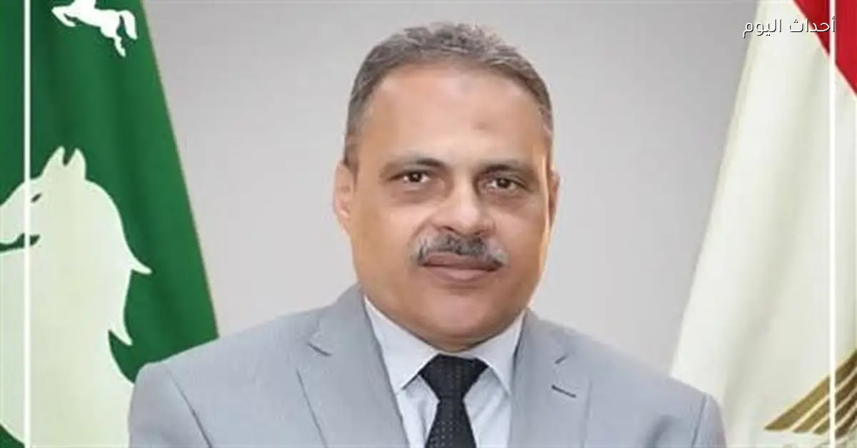 محافظ الشرقية: 65% نسبة إنجاز مشروع صرف صحي النعامنة