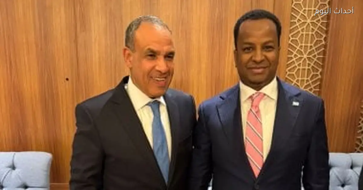 مصر تؤكد دعمها لوحدة وسيادة الأراضي الصومالية