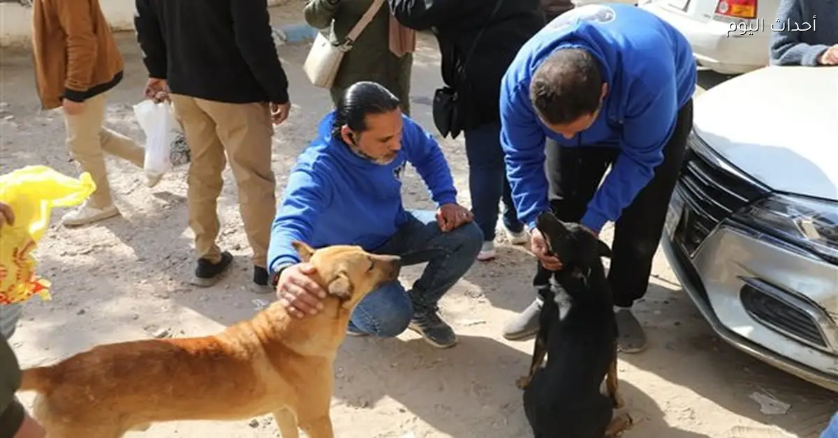 مصر تستهدف القضاء على السعار بحلول 2030