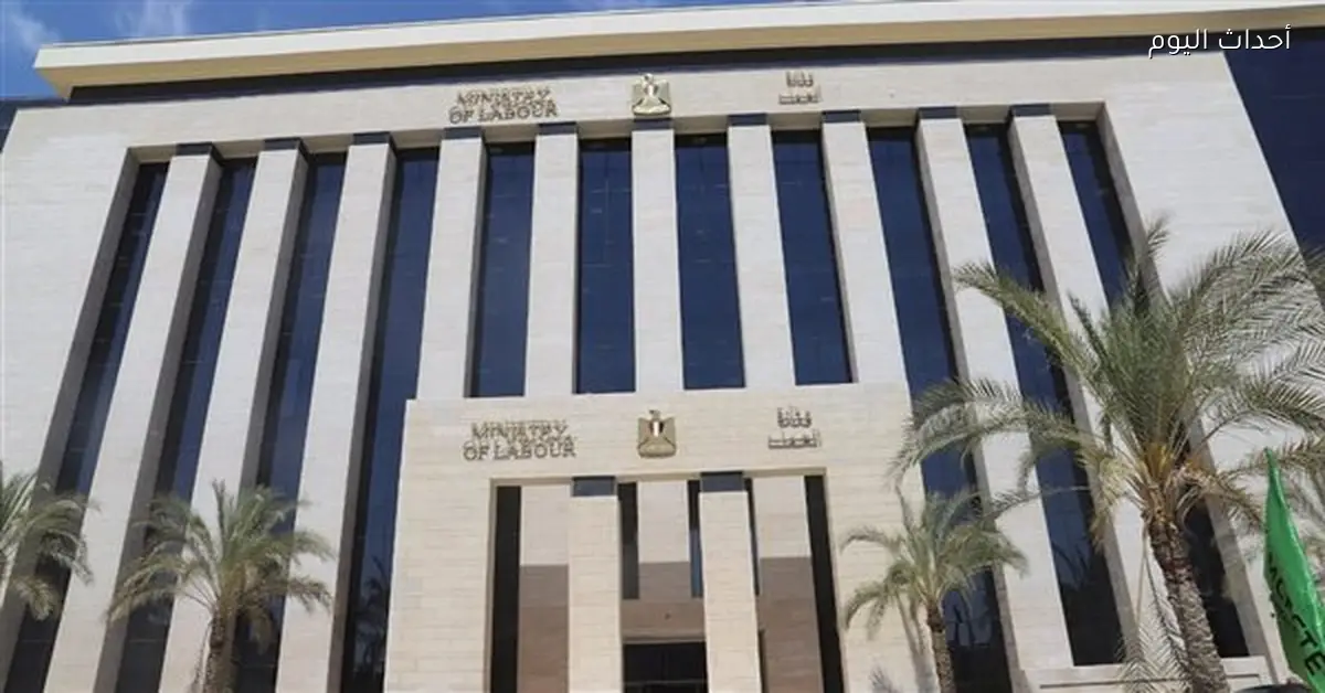 منحة عيد الميلاد للعمالة غير المنتظمة 299.2 مليون جنيه