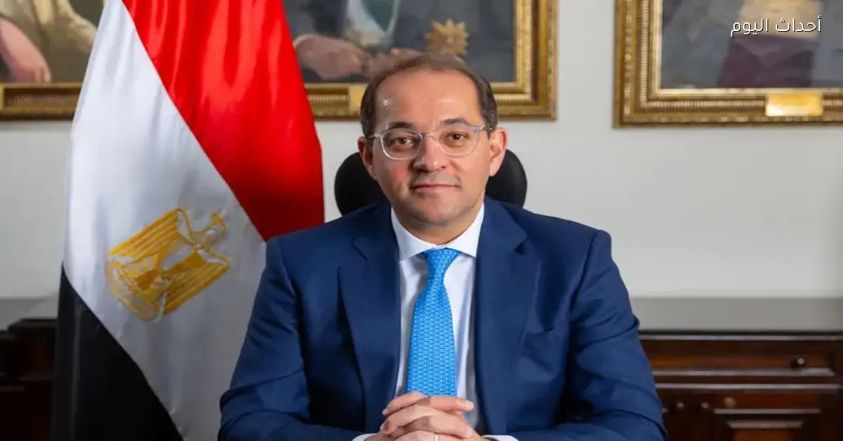وزير المالية: على كل دولة اختيار ما يناسبها من التجارب الدولية