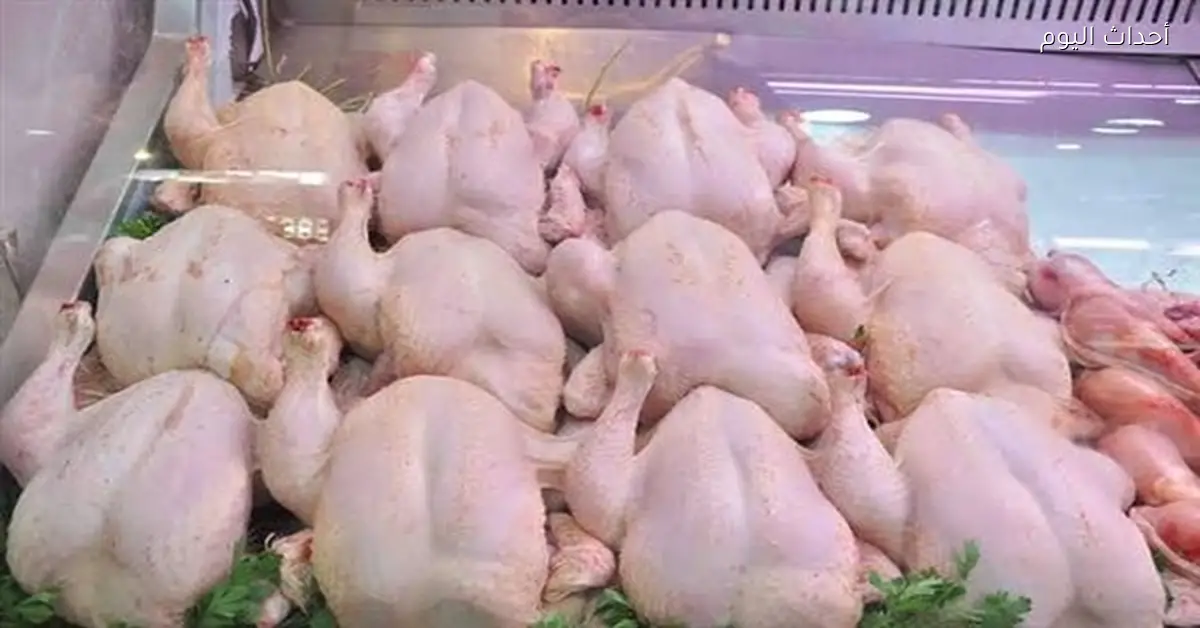 أزمة أسعار الفراخ تتفاقم مع قرب رمضان
