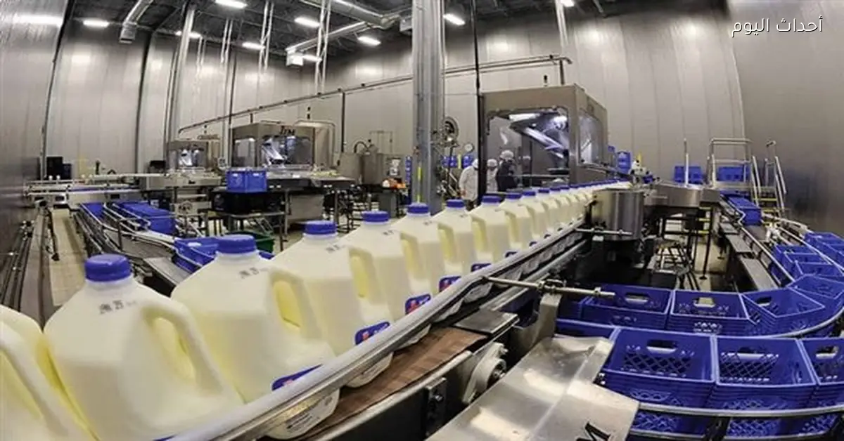 انخفاض أسعار اللبن والزبدة قبل رمضان