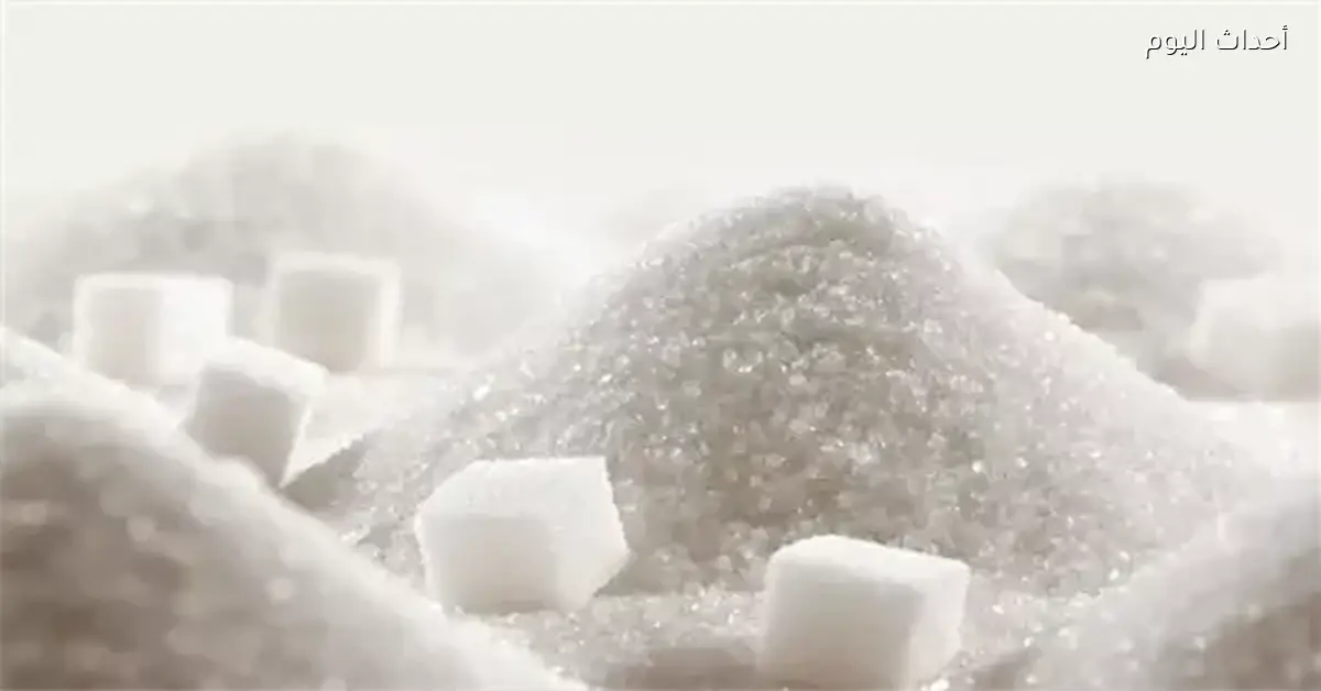 مصر تستأنف تصدير السكر بعد 3 سنوات من التوقف