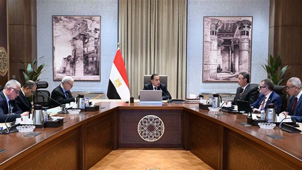 مصر تبحث مع دول لإنشاء مراكز لوجيستية للحبوب والزيوت
