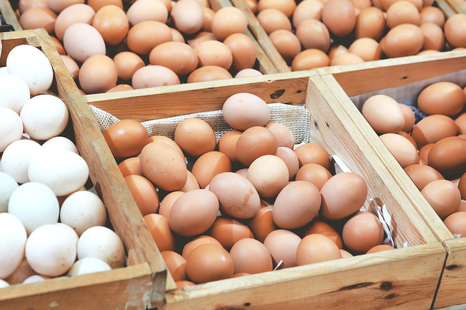 سعر كرتونة البيض اليوم الاثنين 14-7-2025 في الأسواق.. آخر تحديث - الوطن