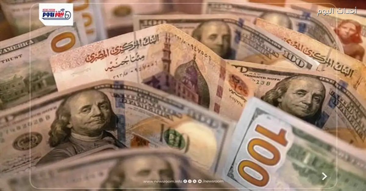 سعر الدولار يرتفع في ختام تعاملات اليوم في البنك المركزي