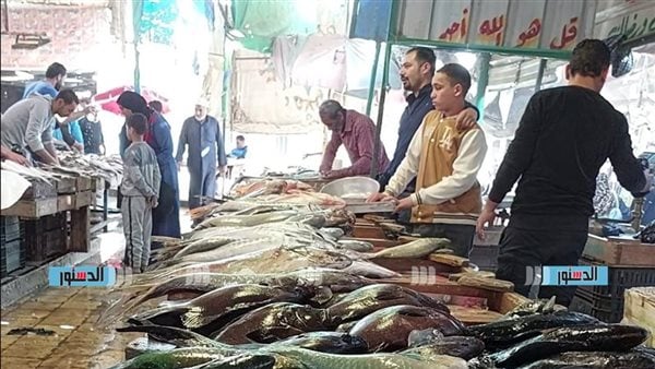 أسعار الأسماك في سوق الأنصاري بالسويس اليوم 17 مايو 2026