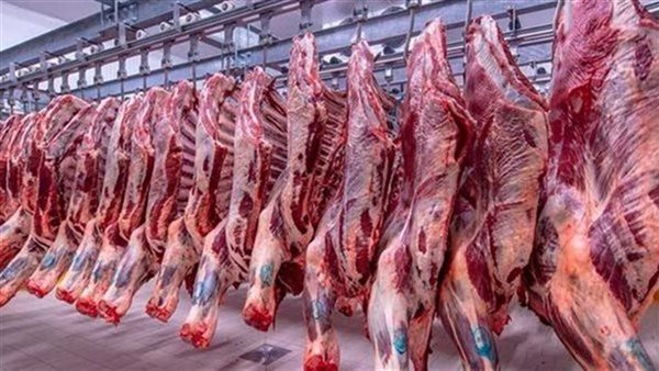أسعار اللحوم الحمراء في الأسواق اليوم الخميس