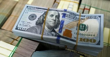 استقرار سعر الدولار مقابل الجنيه في بداية تعاملات الثلاثاء