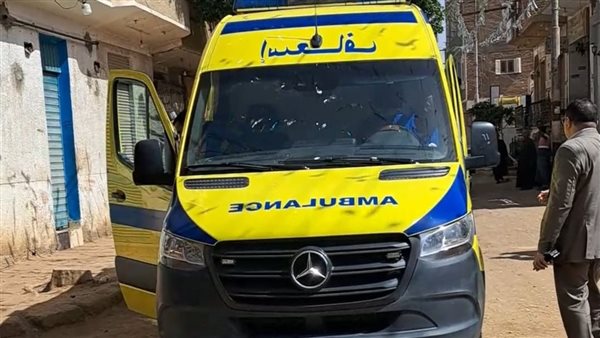 الأمن يقبض على قاتل إمام المسجد في قنا ويصيب شقيقه