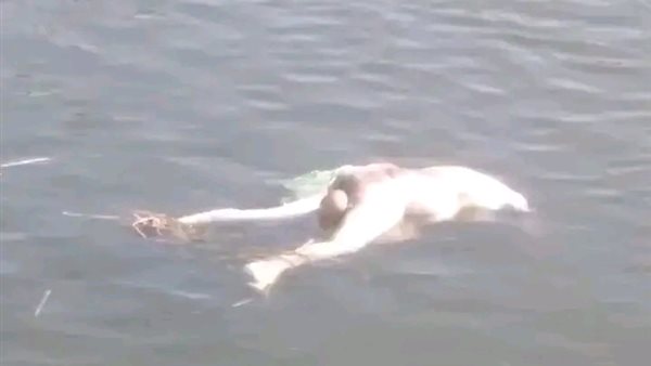 انتشال جثة غريق مجهول الهوية من الترعة الإبراهيمية بأسيوط