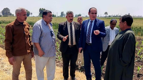 تحركات ميدانية لمتابعة توريد القمح ومخالفات للنيابة