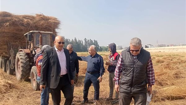 تسهيل توريد القمح وزيادة جاهزية الجمعيات الزراعية بالغربية