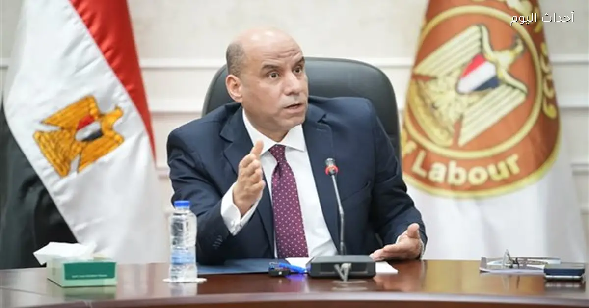 دعم ذوي الهمم والعمالة غير المنتظمة في سيناء