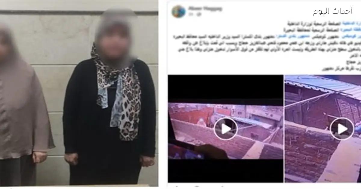 سيدة تتهم بإتلاف كاميرات المراقبة في منزل جيرانها بالبحيرة
