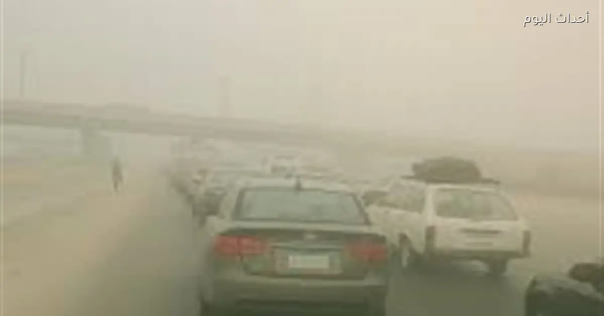 طقس السويس: شبورة صباحية وأمطار متفرقة