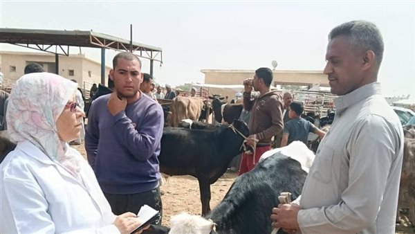 متابعة بيطرية وتحصين الحيوانات بسوق الماشية في الألبان الجديدة