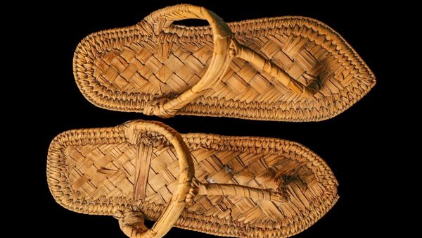 متحف الأقصر يحتفل بيوم التراث العالمي للنخيل