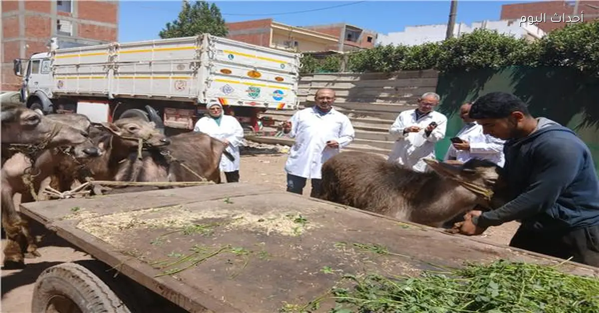 محافظ الدقهلية يتابع جهود مديرية الطب البيطري في تنظيم القوافل الطبية