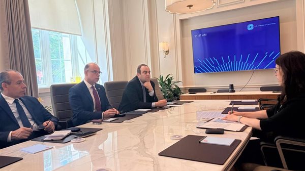 محمد فريد يؤكد أهمية التحول الرقمي لنمو التأمين المصري