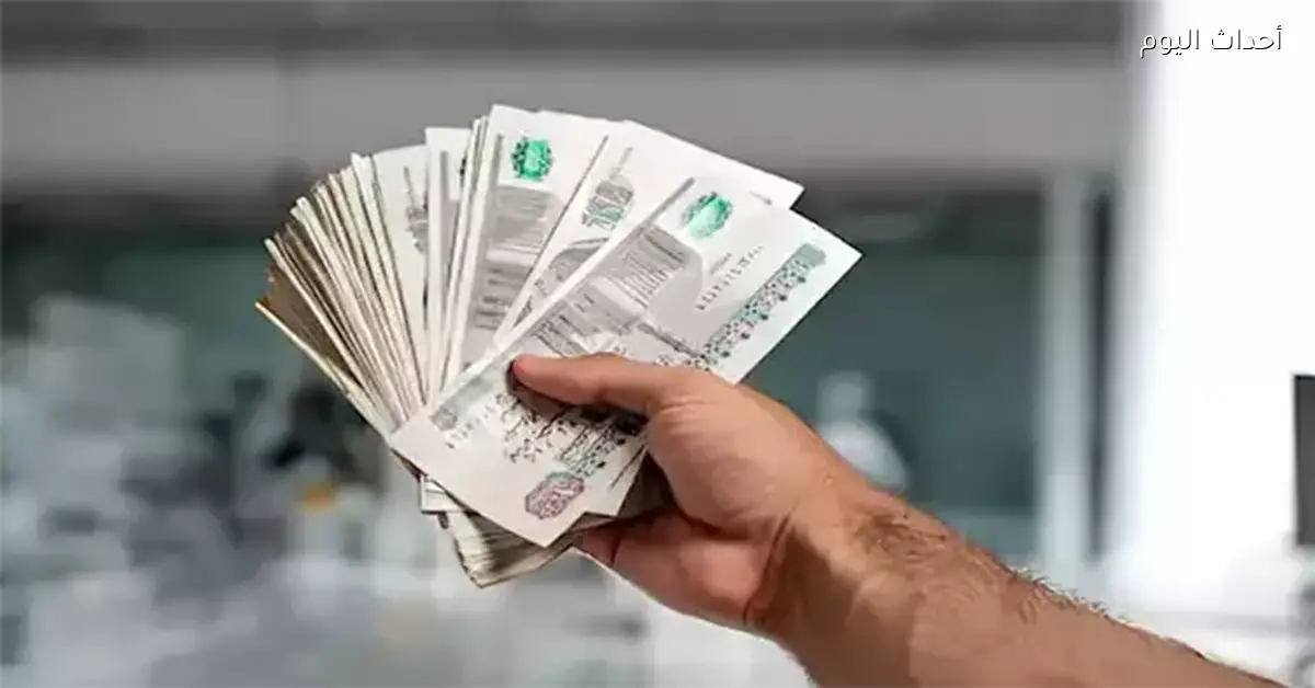 موعد صرف منحة العمالة غير المنتظمة القادمة ومعلومات عن المستحقين