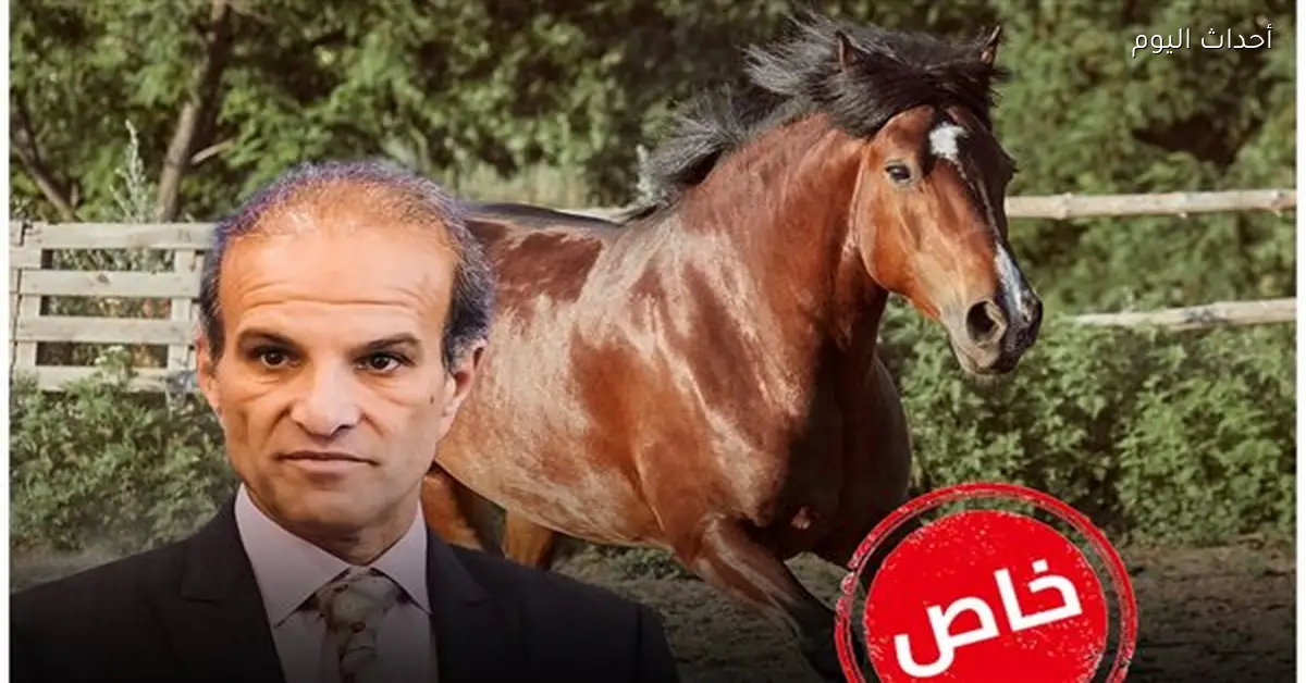 نقل المهندس كريم غبور إلى المستشفى بعد سقوطه من حصان