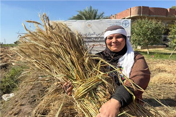 المزارعات يساهمن في تعزيز الأمن الغذائي في الريف المصري