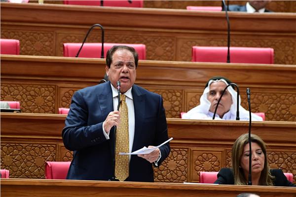 أبو العينين: الحلول للأزمة الليبية يجب أن تكون داخلية دون تدخل خارجي