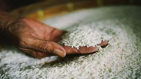 أسعار الأرز الشعير في الأسواق المحلية اليوم 20 مايو 2026