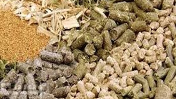 أسعار الأعلاف والخامات المحلية والمستوردة اليوم 14 مايو 2026