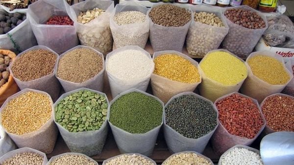 أسعار البقوليات في أسواق البحر الأحمر اليوم 19 مايو 2026