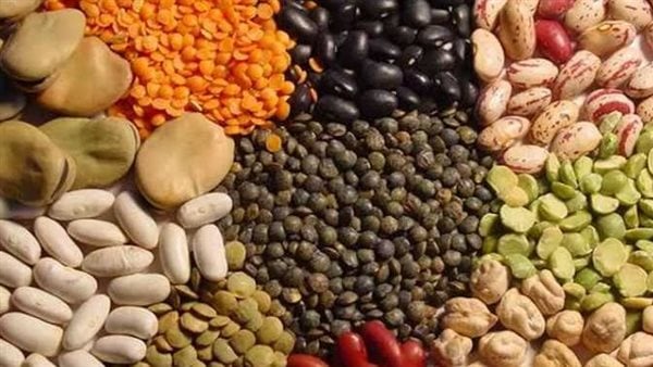 أسعار البقوليات في محافظة الغربية اليوم 20 مايو 2026