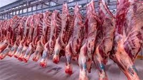 أسعار اللحوم والأضاحي والخراف اليوم 16 مايو 2026