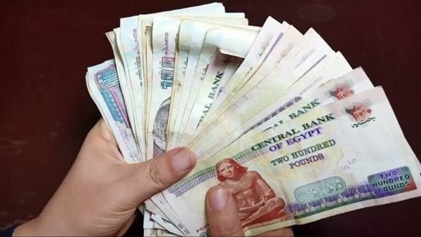 أعلى شهادات الادخار 2026 في مصر بعوائد يومية وشهرية