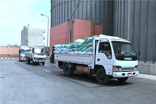 ارتفاع معدلات توريد القمح في البحيرة إلى 238 ألف طن بالشون والصوامع